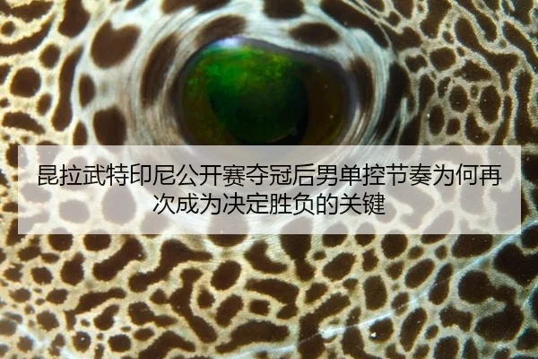 kun-la-wu-te-yin-ni-gong-kai-sai-duo-guan-hou-nan-dan-kong-jie-zou-wei-he-zai-ci-cheng-wei-jue-ding-sheng-fu-de-guan-1-289.jpg